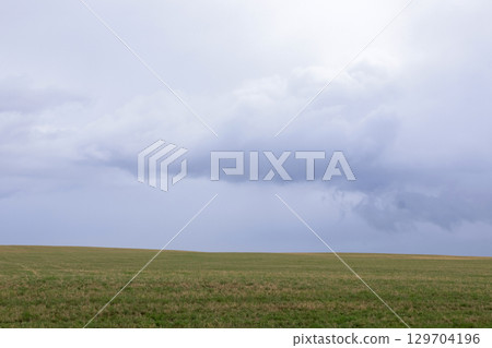 Field with green grass and overcast sky, rainy in the horizon. 129704196