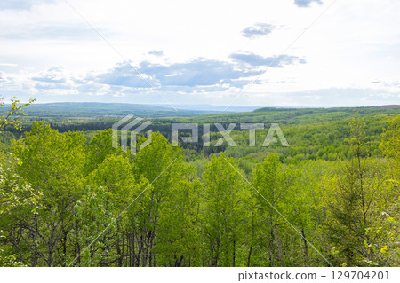View of a forested valley in sun light from the top of the hill. 129704201