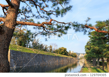 Evening view of Nijo Castle's outer moat in Kyoto (Nakagyo Ward, Kyoto City, Kyoto Prefecture) 129704305