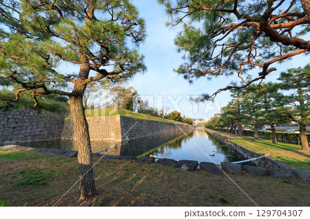 Evening view of Nijo Castle's outer moat in Kyoto (Nakagyo Ward, Kyoto City, Kyoto Prefecture) 129704307