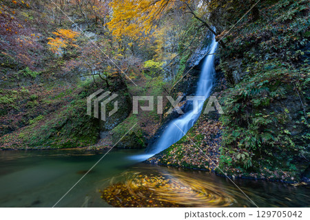 A waterfall surrounded by autumn leaves and a circle of fallen leaves 129705042