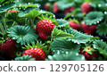 Lush green strawberry plants with droplets of water glistening in light 129705126