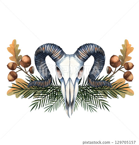 Ram skull with curved horns surrounded by oak branches with acorns and pine twigs, painted in watercolor. Perfect for woodland, pagan, mystical, gothic, fantasy art, rustic forest themes and decor 129705157