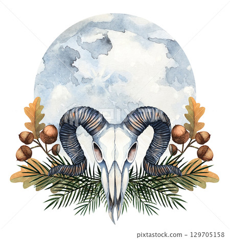 Ram skull with horns, oak branches with acorns, pine twigs and moon background, painted in watercolor. Ideal for pagan art, mystical decor, fantasy illustration, gothic prints, rustic forest design 129705158