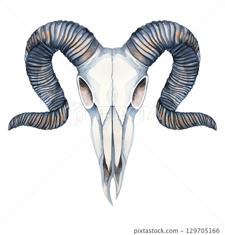 Watercolor illustration of a ram, sheep, goat skull with large horns. Perfect for witchcraft, mystical art, fantasy posters, pagan themes, tattoo designs, Halloween decor, and dark aesthetics Watercolor illustration of a ram, sheep, goat skull with large horns. Perfect for witchcraft, mystical art, fantasy posters, pagan themes, tattoo designs, Halloween decor, and dark aesthetics 129705166