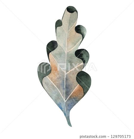 Watercolor illustration of a green oak leaf. Ideal for botanical themes, eco packaging, seasonal decor, nature projects, educational materials, cards, and rustic compositions Watercolor illustration of a green oak leaf. Ideal for botanical themes, eco packaging, seasonal decor, nature projects, educational materials, cards, and rustic compositions 129705173