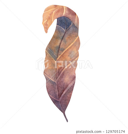 Watercolor illustration of dried autumn leaves in warm tones. Great for seasonal decor, invitations, scrapbooking, natural designs, eco themes, and rustic elements 129705174