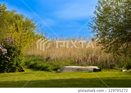 Old abandoned boat with reeds in backround 129705272