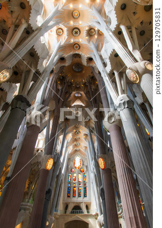Sagrada Familia  129705831