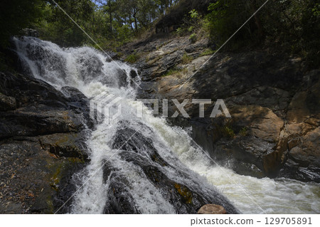 Datanla Waterfall in Dalat among the green rainforests in Southeastern Vietnam 129705891