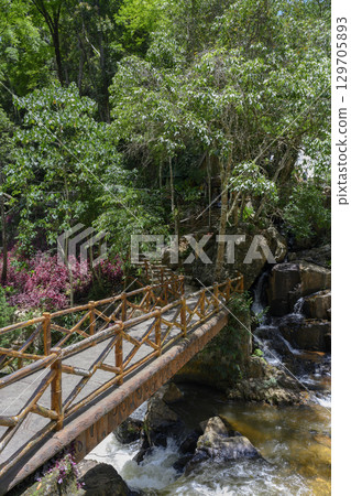 Stone bridge with wooden railing over a mountain stream among green rainforest in Southeast Vietnam Stone bridge with wooden railing over a mountain stream among green rainforest in Southeast Vietnam 129705893