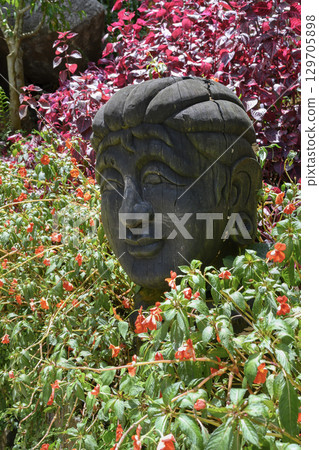 A wooden Buddha head in a tropical thicket of flowers and purple amaranth leaves in a rainforest A wooden Buddha head in a tropical thicket of flowers and purple amaranth leaves in a rainforest 129705898