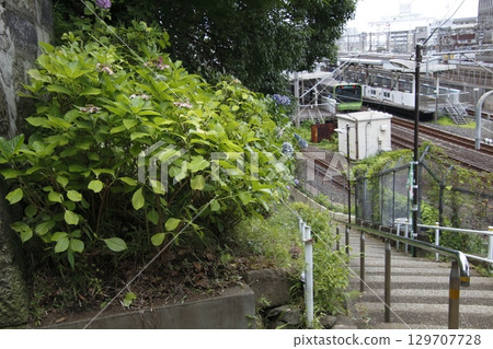 梅雨時的地藏坂(東京都荒川區西日暮里站前) 梅雨時的地藏坂(東京都荒川區西日暮里站前) 129707728