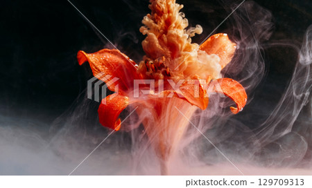 Flower abstraction. Splash paint. Defocused pink color orange lily blob smog in water nature floating on floral art dark black background. 129709313