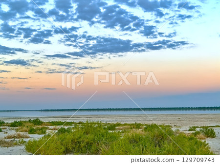 lagoon in the Paraguayan Chaco lagoon in the Paraguayan Chaco 129709743