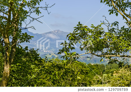 Panoramic View of Mountain Landscape and Valley Through Tree Branches 129709789