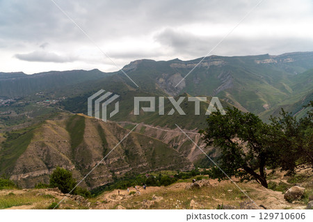 Caucasian mountain. Dagestan. Trees, rocks, mountains, view of the green mountains. Beautiful summer landscape. Caucasian mountain. Dagestan. Trees, rocks, mountains, view of the green mountains. Beautiful summer landscape. 129710606