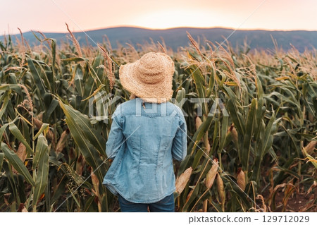 Female farmer looking at her corn crops at sunset 129712029
