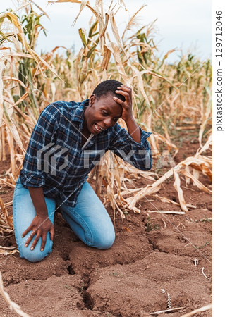 African farmer kneeling in dry cracked soil of maize field during drought African farmer kneeling in dry cracked soil of maize field during drought 129712046