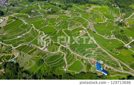 Obasute Rice Terraces: Aerial View in Summer - Lush Japanese Rice Terrace Landscape 129713686