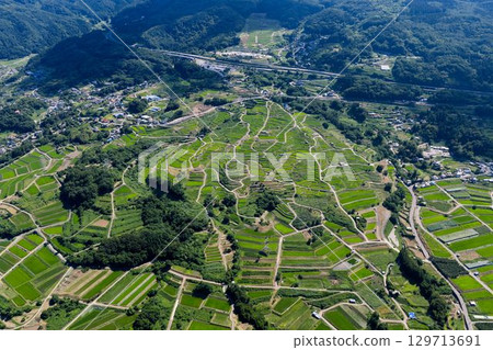 Panoramic view of Obasute's rice terraces, with the pattern of the countryside spreading out over and over again 129713691