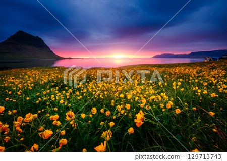 Evening Kirkjufell volcano the coast of Snaefellsnes peninsula. Location Kirkjufellsfoss waterfall. 129713743