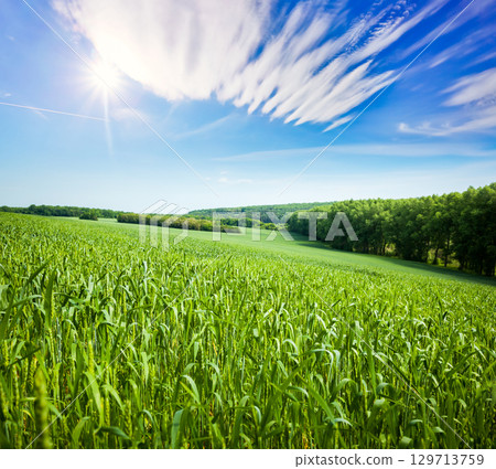 Captivating scene of the countryside in sunlight. 129713759
