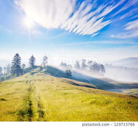 Scenic surroundings near the farm in the morning light. 129713766