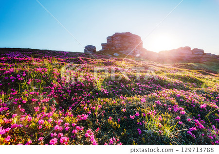 Captivating scene of the alpine valley in sunlight. Location place Carpathian Ukraine, Europe. 129713788