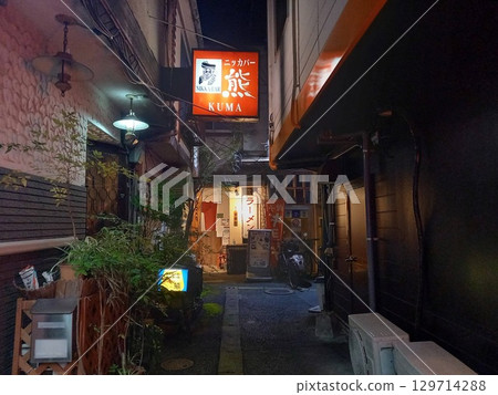 Back of the alley of the night 129714288