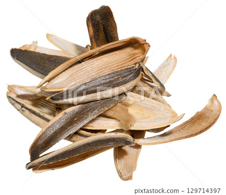 Close up of a chaotic pile of empty sunflower seed husks. Isolated background Close up of a chaotic pile of empty sunflower seed husks. Isolated background 129714397