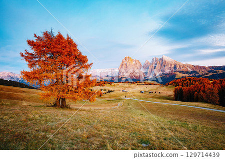 Scenic image of bright hills. Location Seiser Alm or Alpe di Siusi, South Tyrol, Italy. Scenic image of bright hills. Location Seiser Alm or Alpe di Siusi, South Tyrol, Italy. 129714439