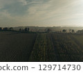 Cultivated fields and vineyards stretching under cloudy sky at sunset in the italian countryside. 129714730
