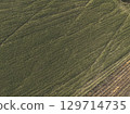 In Martani, Castell'Arquato, PC, Italy Aerial view of a green field meeting a brown field in farmland, creating a contrast in colors and textures. 129714735