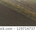 Diagonal lines of plowed dark soil and yellow vineyards create a beautiful rural abstract from above. In Martani, Castell'Arquato, PC, Italy 129714737