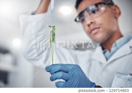 Scientist, test tube and plant analysis working in laboratory for science innovation, agriculture research or ecology pharmacist study. Doctor, chemistry expert and botanical development in lab 129714803