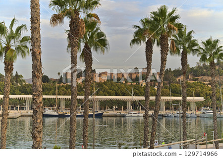 The Alcazaba of Malaga seen through palmtrees from the hafbour area The Alcazaba of Malaga seen through palmtrees from the hafbour area 129714966