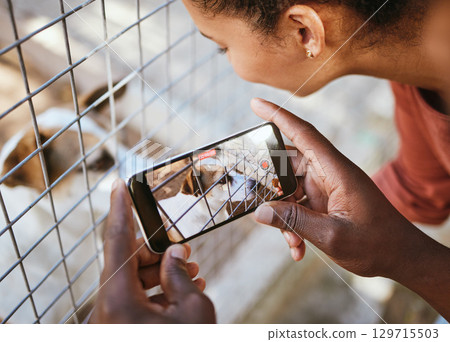 Animal shelter, phone and dog photo in cage with man and woman volunteer doing charity for homeless pet to report puppy abuse. Couple with sad pet picture on screen for social media vet animals 129715503