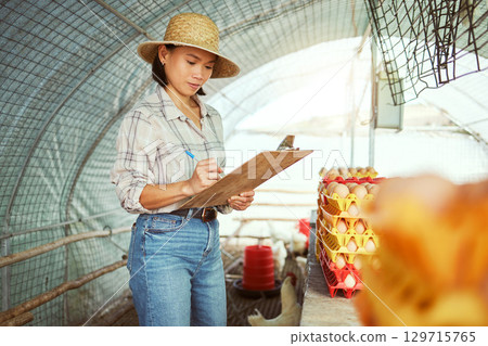 Farmer, clipboard writing or chicken eggs management for export sales, healthy food industry or delivery checklist. Asian woman, farming coop or poultry farm production with logistics paper documents Farmer, clipboard writing or chicken eggs management for export sales, healthy food industry or delivery checklist. Asian woman, farming coop or poultry farm production with logistics paper documents 129715765