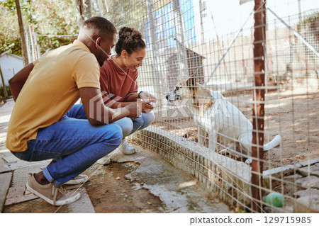 Dog, adoption and animal shelter with black couple volunteers at a rescue center for foster care. Help, dogs and trust with a man and woman doing charity or aid work with homeless animal pets Dog, adoption and animal shelter with black couple volunteers at a rescue center for foster care. Help, dogs and trust with a man and woman doing charity or aid work with homeless animal pets 129715985