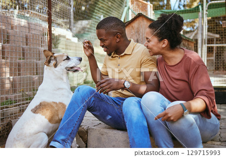 Adoption, couple and feeding dog at vet, bonding and having fun. Foster care, interracial love and happy man and woman giving pet food at animal shelter, playing or enjoying quality time together. Adoption, couple and feeding dog at vet, bonding and having fun. Foster care, interracial love and happy man and woman giving pet food at animal shelter, playing or enjoying quality time together. 129715993