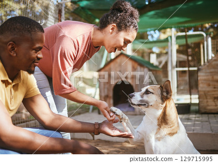 Black couple, love or petting dog in animal shelter, foster kennel or adoption center. Smile, happy or love man and woman bonding and touching pet canine for foster care or community volunteer work 129715995