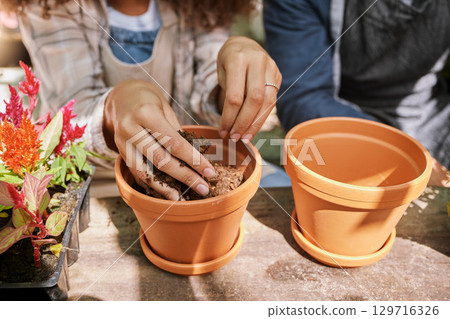 Woman hands, pot plant and planting in garden, sustainability and growth for small business nursery. Gardening shop worker, hand in soil and plants in greenhouse for eco friendly agro florist startup 129716326