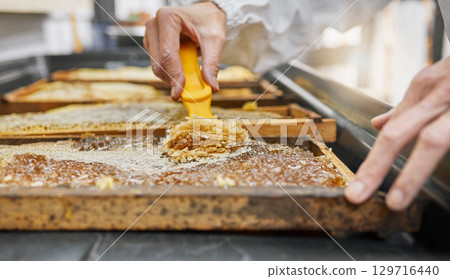 Honey frame, hands and harvest tool for uncapping beeswax at factory farm. Farming worker, beekeeping industry and person harvesting natural, organic and healthy food product at manufacturing plant. 129716440
