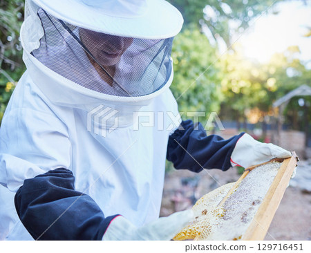 Woman, beekeeper hat or wooden frame check in honey harvesting, sustainability agriculture or nature countryside farming. Worker, insects or bees farmer in sweet syrup, healthy food or wax production 129716451
