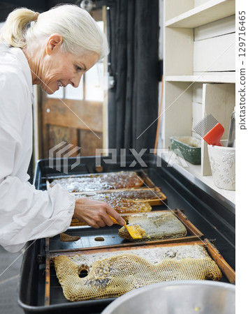 Beekeeper woman, honey production and honeycomb in factory, apiary workshop or focus for small business. Senior bee expert, uncapping fork and apiculture work with farmer, harvest process and beeswax Beekeeper woman, honey production and honeycomb in factory, apiary workshop or focus for small business. Senior bee expert, uncapping fork and apiculture work with farmer, harvest process and beeswax 129716465