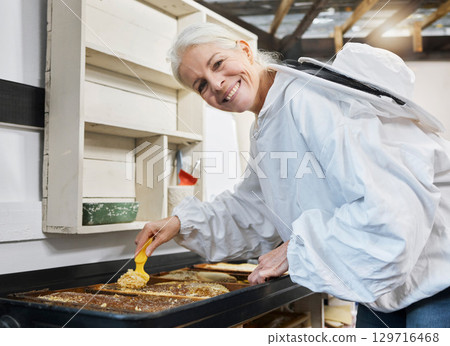 Senior woman, beekeeping and honey during production process for bee farming, extraction and uncapping while in a workshop or factory for organic small business. Portrait of honeycomb farmer working Senior woman, beekeeping and honey during production process for bee farming, extraction and uncapping while in a workshop or factory for organic small business. Portrait of honeycomb farmer working 129716468