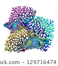 Rainbow big tropical parrot fish among multicolored mesh fire corals. Underwater sea view watercolor template for marine design, cards, posters, stickers, scrapbooking, textile, diving, snorkeling 129716474
