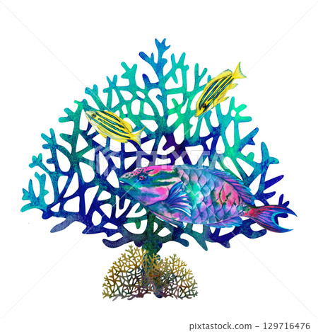 Rainbow big tropical parrot fish among multicolored mesh fire corals. Underwater sea view watercolor template for marine design, cards, posters, stickers, scrapbooking, textile, diving, snorkeling Rainbow big tropical parrot fish among multicolored mesh fire corals. Underwater sea view watercolor template for marine design, cards, posters, stickers, scrapbooking, textile, diving, snorkeling 129716476