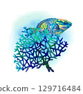 Rainbow big tropical parrot fish among multicolored mesh fire corals. Underwater sea view watercolor template for marine design, cards, posters, stickers, scrapbooking, textile, diving, snorkeling 129716484